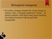Mutacijos skaidrės 18 puslapis