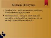 Mutacijos skaidrės 5 puslapis