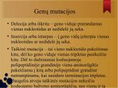 Mutacijos skaidrės 7 puslapis