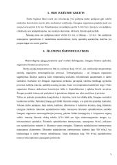 Mikroklimatas ir jo įtaka darbuotojo sveikatai 5 puslapis