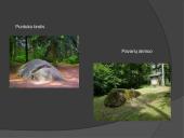 Anykščių regioninis parkas 4 puslapis