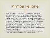 Didžiųjų Geografinių Atradimų asmenybės 8 puslapis