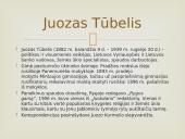 A. Voldemaras ir J. Tubelis 12 puslapis