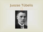 A. Voldemaras ir J. Tubelis 13 puslapis