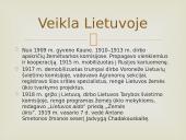 A. Voldemaras ir J. Tubelis 14 puslapis