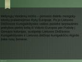 Algirdas ir Kęstutis 20 puslapis