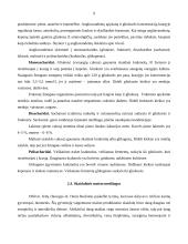 Racionali ir dietinė mityba 9 puslapis