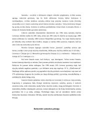 Santuokos pabaigos pagrindai 3 puslapis