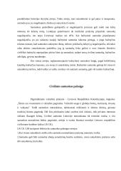 Santuokos pabaigos pagrindai 5 puslapis