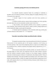 Santuokos pabaigos pagrindai 6 puslapis