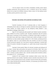 Santuokos pabaigos pagrindai 8 puslapis