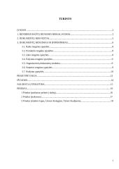 Bendrieji raštų rengimo reikalavimai 2 puslapis