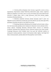 Bendrieji raštų rengimo reikalavimai 16 puslapis