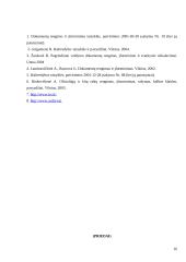 Bendrieji raštų rengimo reikalavimai 17 puslapis