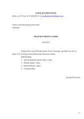 Bendrieji raštų rengimo reikalavimai 18 puslapis