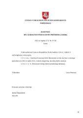 Bendrieji raštų rengimo reikalavimai 19 puslapis