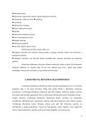 Bendrieji raštų rengimo reikalavimai 7 puslapis