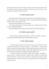 Bendrieji raštų rengimo reikalavimai 9 puslapis