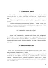 Bendrieji raštų rengimo reikalavimai 10 puslapis