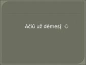 Projektas apie Bulgariją 15 puslapis