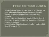 Projektas apie Bulgariją 7 puslapis