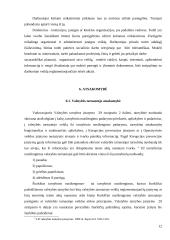 Valstybės tarnautojo ir darbuotojo teisinio statuso analizė 12 puslapis