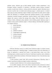 Valstybės tarnautojo ir darbuotojo teisinio statuso analizė 19 puslapis