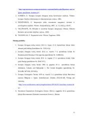 Užsieniečių teisinės padėties tarptautiniai elementai 16 puslapis