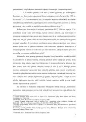 Užsieniečių teisinės padėties tarptautiniai elementai 7 puslapis