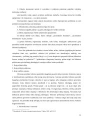 Totalitarinių režimų ištakos XX a. pirmojoje pusėje Europoje 13 puslapis