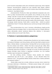 Totalitarinių režimų ištakos XX a. pirmojoje pusėje Europoje 19 puslapis