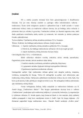 Totalitarinių režimų ištakos XX a. pirmojoje pusėje Europoje 3 puslapis