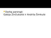 Johanas Volfgangas Gėtė skaidrės 19 puslapis