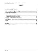 OSB plokščIų vežimo maršrutu Vilnius (Lietuva) – Gdanskas (Lenkija) technologinio proceso sudarymas 2 puslapis