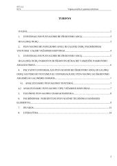 Vagonų savybių ir ypatumų vertinimas 2 puslapis