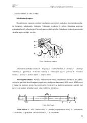 Vagonų savybių ir ypatumų vertinimas 11 puslapis