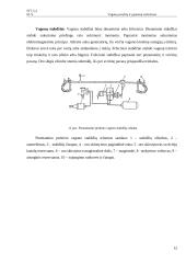 Vagonų savybių ir ypatumų vertinimas 12 puslapis