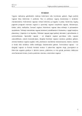 Vagonų savybių ir ypatumų vertinimas 3 puslapis