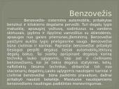 Cisternos 6 puslapis