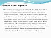 Puspriekabė 9 puslapis