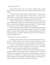 2008 metų ekonominės krizės priežastys ir padariniai pasaulyje ir Lietuvoje 17 puslapis