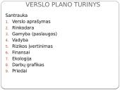 Verslo plano sudarymo pradziamokslis 3 puslapis