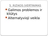 Verslo plano sudarymo pradziamokslis 8 puslapis