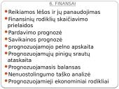 Verslo plano sudarymo pradziamokslis 9 puslapis