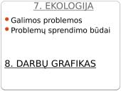 Verslo plano sudarymo pradziamokslis 10 puslapis