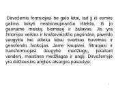 Dirvožemio degradacija, erozija, tarša, slėgimas 3 puslapis