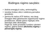 Aerobinis kvepavimas 11 puslapis