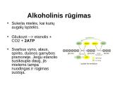 Aerobinis kvepavimas 12 puslapis