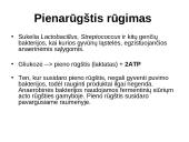 Aerobinis kvepavimas 13 puslapis