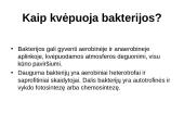 Aerobinis kvepavimas 14 puslapis